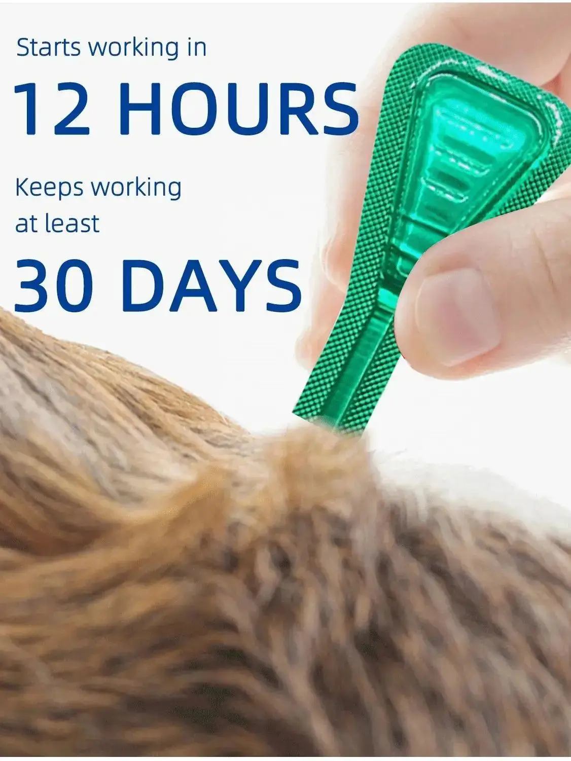 Pet Anti Itching and Anti-Flea Drops Mites Remover Same Formula as Front External Insect Repellent Drops for Cats 2