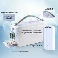 Boîte Portable Indispensable pour le Stockage des Médicaments, Insuline Unidirectionnelle, Interféron Indispensable, Nombreux Mini Réfrigérateur 4
