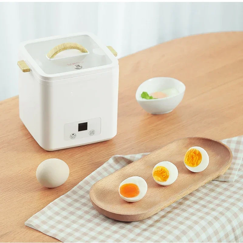 MultiFunction Rapid Electric Egg Cooker 4 Eggs Boiler Steamer  Auto-Off Generic Omelette Cooking Tools Kitchen Utensil Breakfast 2