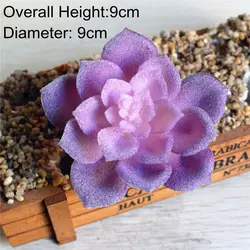 Vibrant Multicolor Flocking Succulent Plants (XiaoShuiLian Purple)