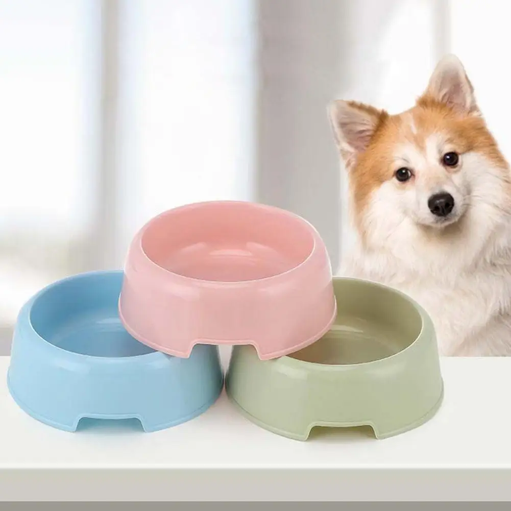 Title 9, Cat Bowl Large Cat Dog Food Bowl Pets Supplies ...