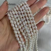 Natural Freshwater Pearl Beads High Quality Rice Shape Punch Loose Beads For DIY Necklace Bracelet Jewelry Making 2-2.5mm 6