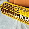 Large Bee Life Cycle Mold Beekeeping Education Teaching Mold, GFRP Glass Fiber Reinforced Plastics Material Bee Life Mold 5
