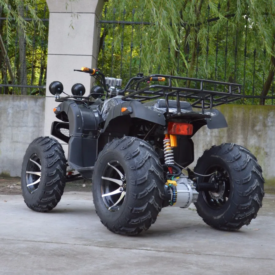 Рисунок 4 - Взрослые 60v 4x4 четыре колеса