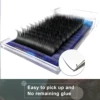 Lashonly Darker Flat Lashes False Pull-Out Box Mink Eyelash Extension Supplies Fake Individual Eyelashes Wholesale Nature Lash 2