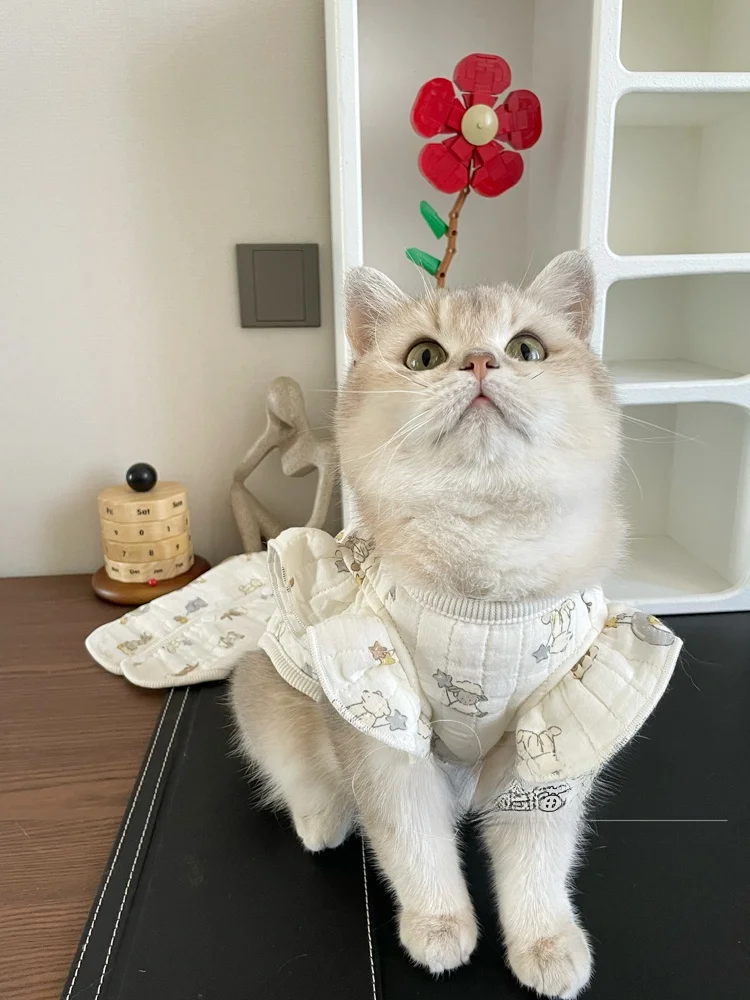 따뜻한 면 가디건 애완동물 조끼 (새끼 고양이와 소형견용) 테디 스타일 가을 겨울 홈웨어 귀여운 동물 무늬 애완동물 옷