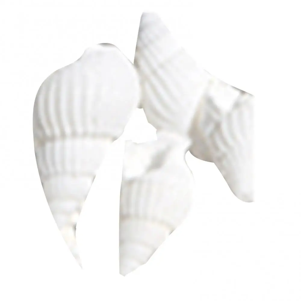 Natural Shell Ornaments 100 Pieces Small Real Sea Shell Conches Xmas Gift