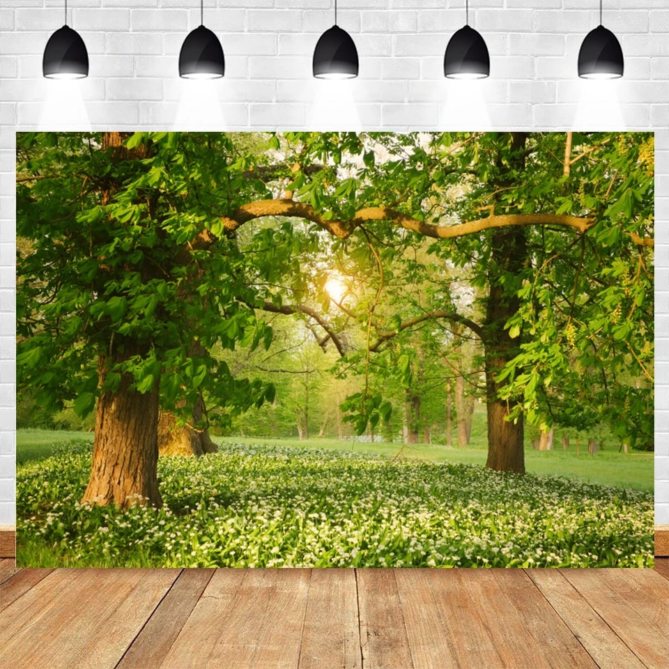 Paisajes De La Primavera Telón De Fondo De Paisaje Natural De