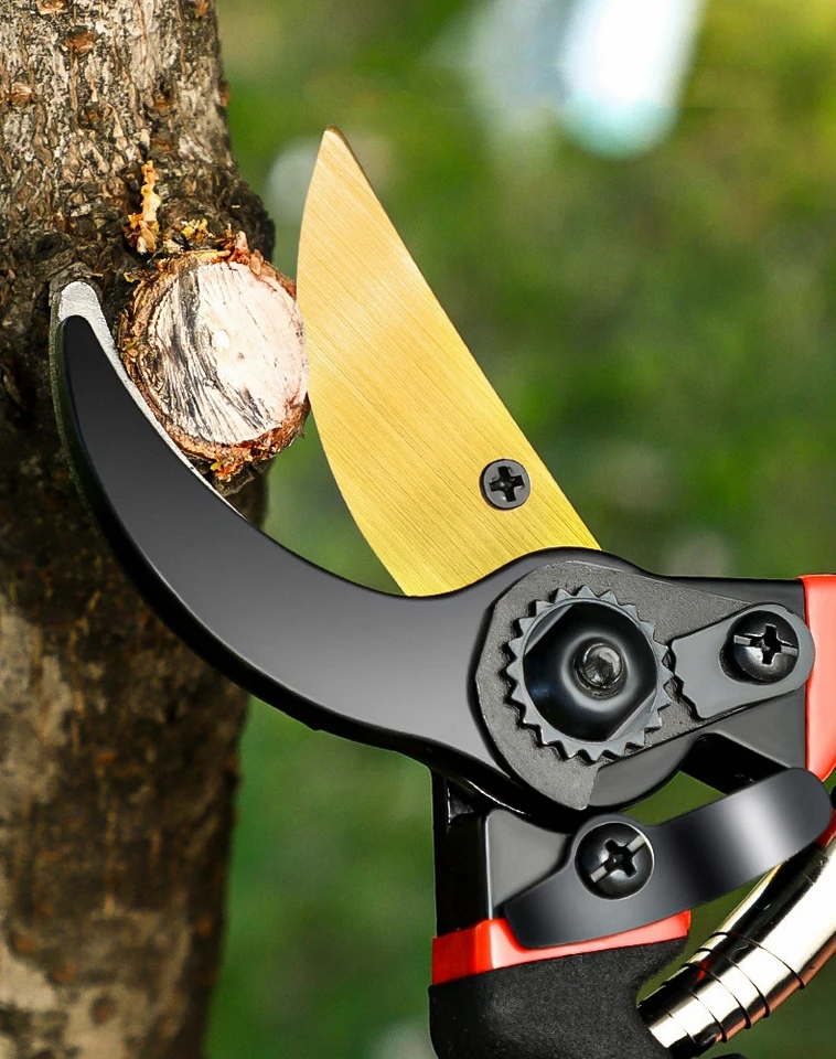 盆栽鋏・枝切り NEIGHBORHOOD 23SS SRL.GARDEN CLIPPERS Garden