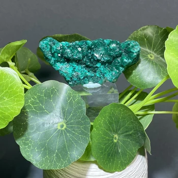 Congo Green Dioptase Crystal 1