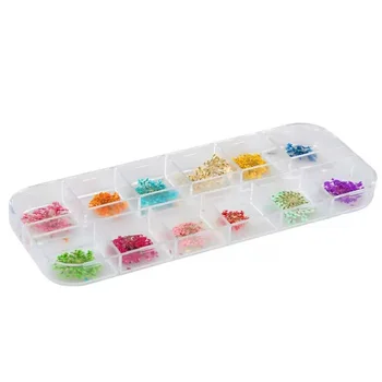 Decorazioni per Unghie con Fiori Secchi in 12 Colori Diversi, Accessori per Nail Art Fai-da-Te