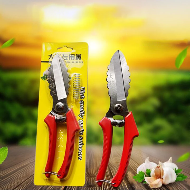 

Special Scissors for Garlic Steel Garlic Beard Cut Green Onion Beard Ginger Scissors Soft Handle