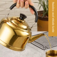 Bouilloire à sifflet en acier inoxydable épaissi, grande capacité, 2L, 4L, pot à soupe ajouté au restaurant, bouilloire à thé, eau bouillante 4
