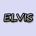 ELVIS Boutique Store