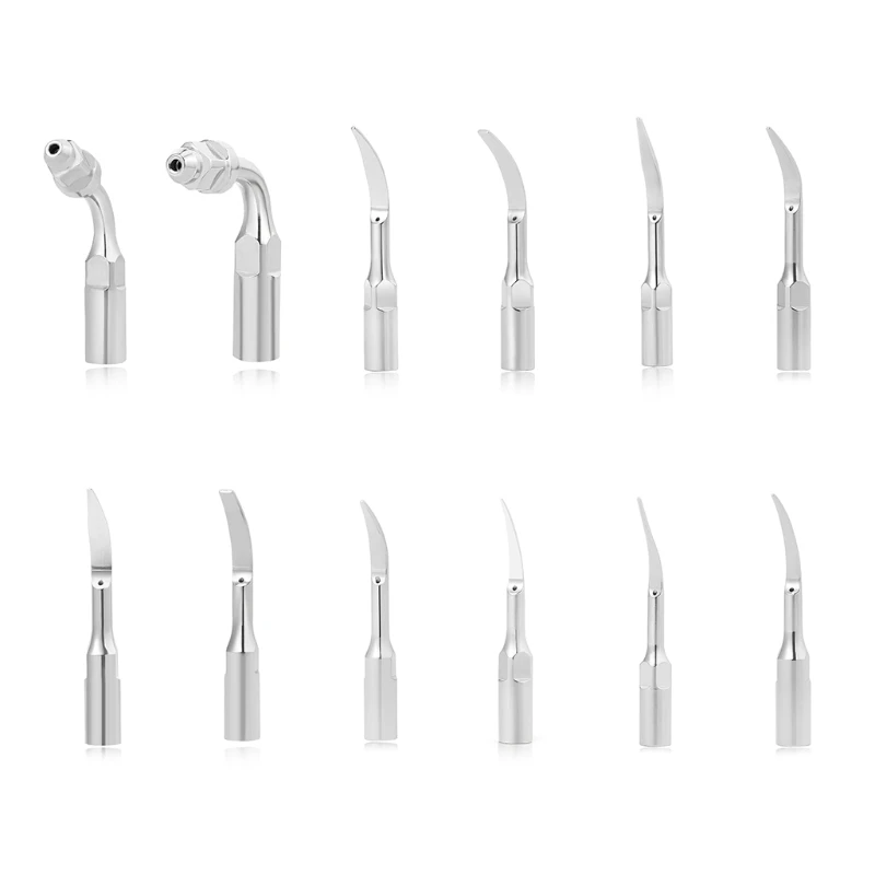 

Professional Dental Scraper Tool with Durability Tooth Cleaning for Dentist / Home Stainless Steel