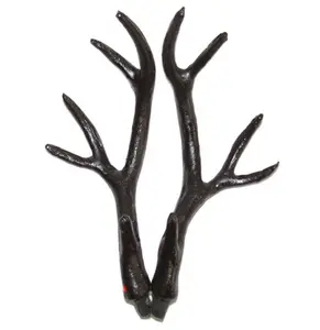 Free shipping deer horn for head and property