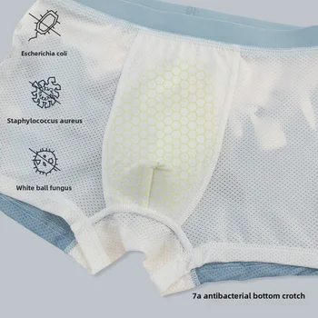 ملابس داخلية للأولاد للأطفال الأولاد والشباب سراويل داخلية للأطفال سراويل داخلية بوكسر ملابس داخلية للأطفال ملابس الأم 5