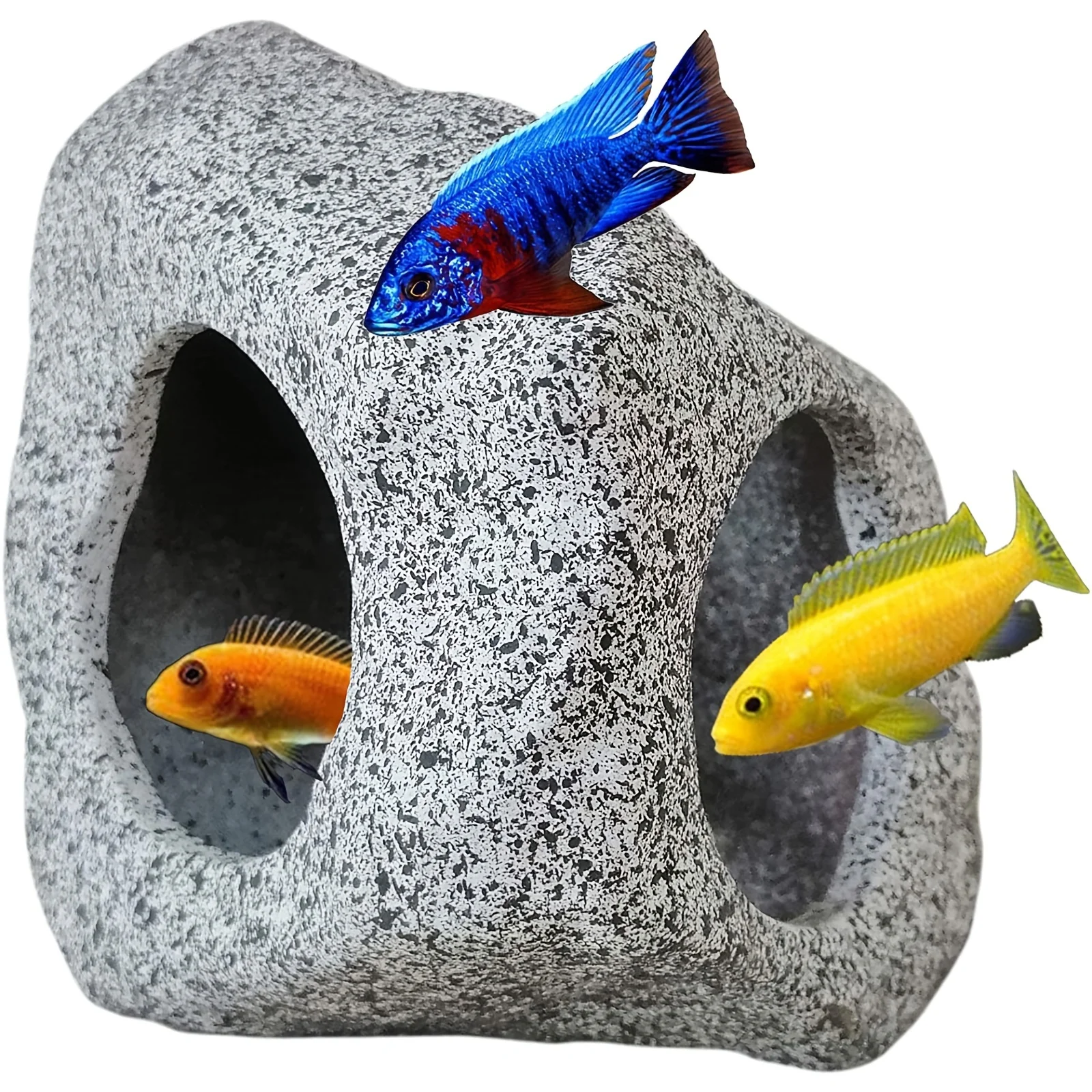 Aquarium Cave 2