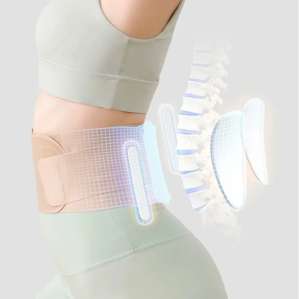 얇은 허리 지지 벨트 통기성 조절 가능한 허리 트레이너 하부 허리 통증 완화 복부 밴드 좌골신경통 척추측만증 디스크 탈출증