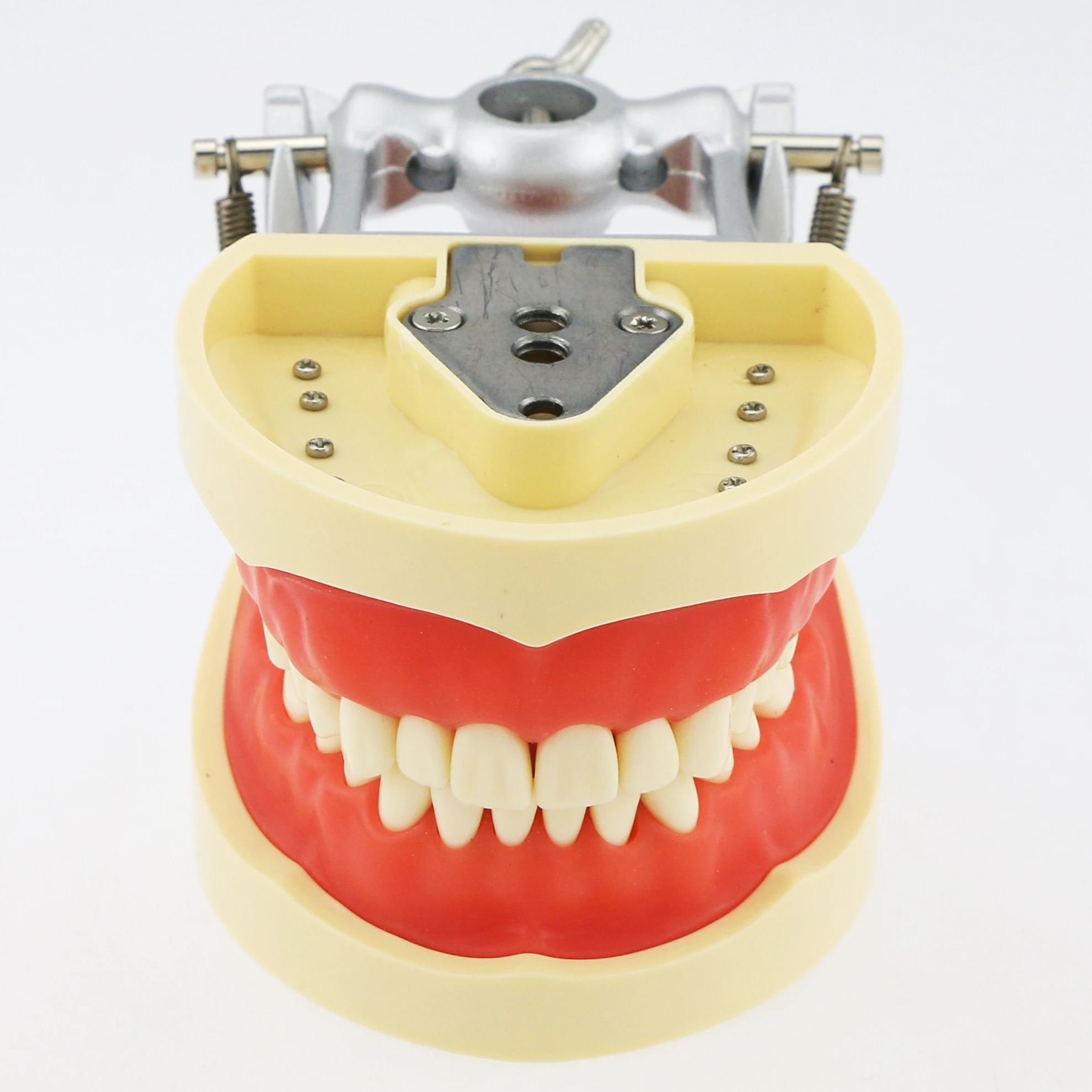 Typodont Mounting Pole Tooth Model 360-Degree Adjustable Fix on Desk Fit Kilgore Nissin Columbia Dentoform Frasaco 360 Type 5