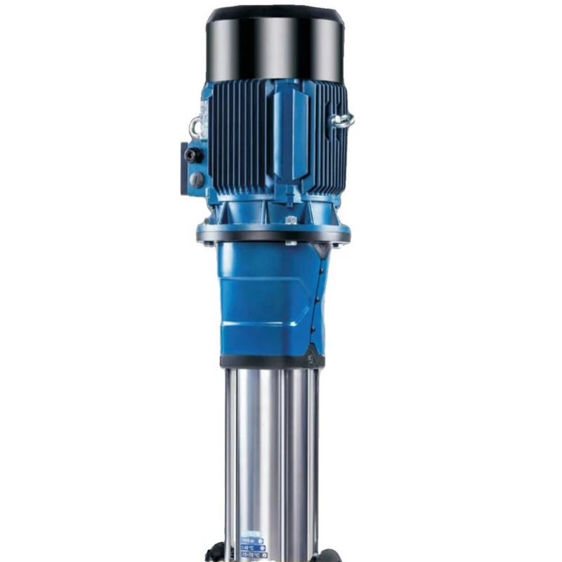 

TH TEST Pump Garden Plate Gift