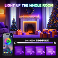 WIFI Bluetooth RGB Neon LED Strip 5m 10m 20m 30m Light 24V 24key 44key Remote Control EU US UK AU Power Kit 60LED/m Waterproof - Image 4