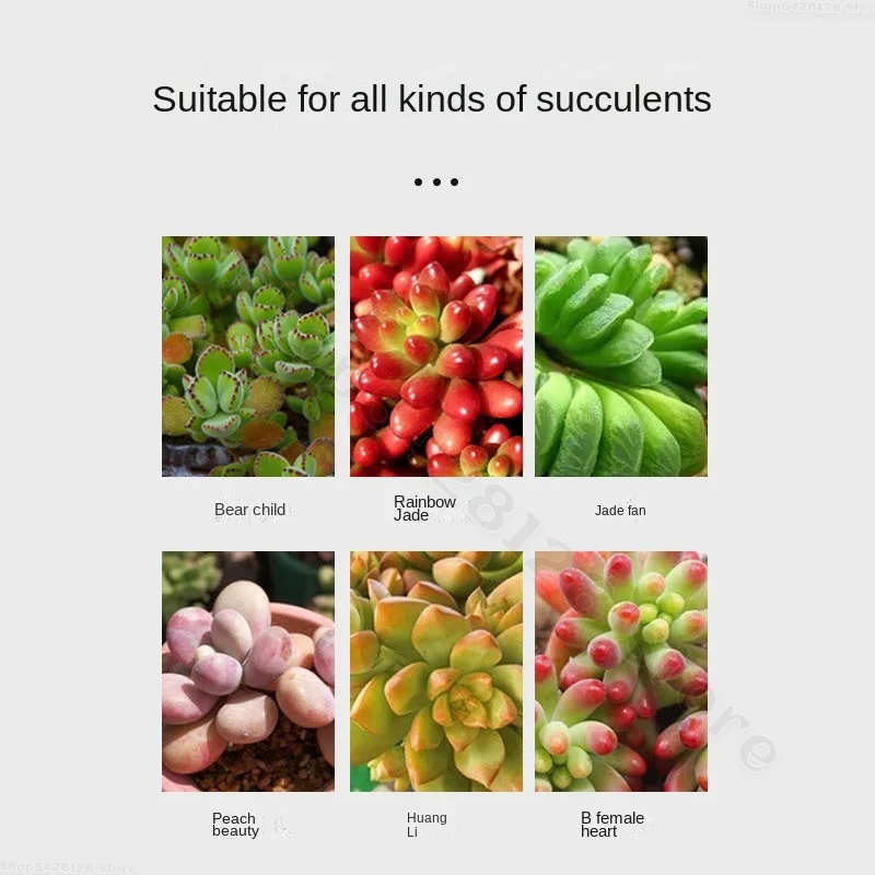 Рисунок 3 - Питательный раствор для суккулентов