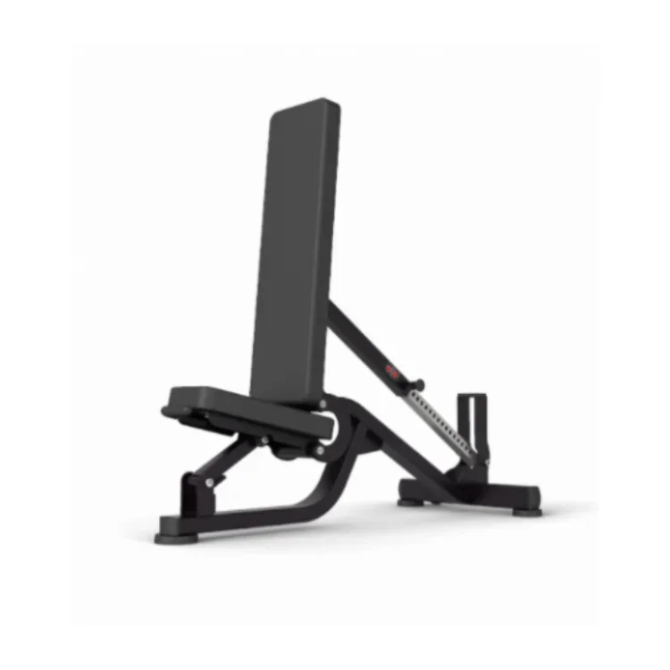 Adjustable Dumbbell Bench Multifunctional Gym Sit Up Bench Adjustable Dumbbell