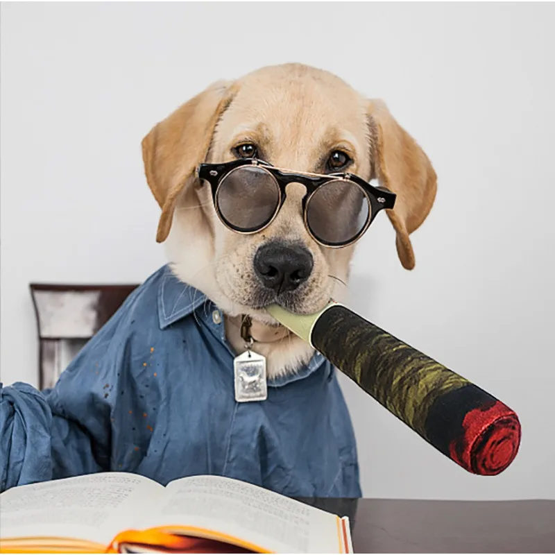 Funny Interactive Dog Toys - Cigar Design Plush Squeaky Pet Toys Grinding Teeth Creative Chew Toy For Small Medium Dog 3