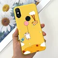 Case-c45