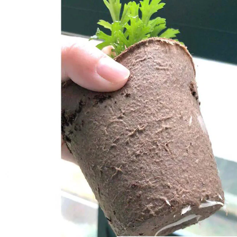 seed Nursery Cup growing pot Tray planter 50x Paper Biodegradable Eco-Friendly Garden Tools garden tools,seed starter tray,nursery pots,seedling tray,plant propagation pots