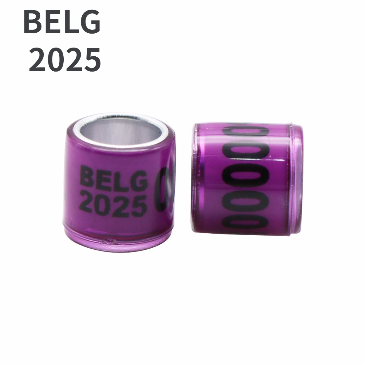 BELG 2025