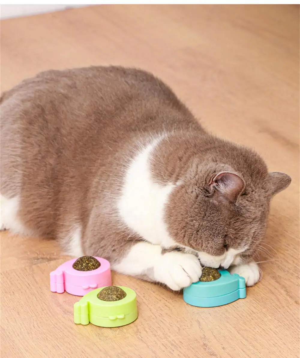 Boules à La Menthe Pour Chat - 10 Cm, Jouets à Lécher, Sains Pour Les Dents, Arôme Naturel - 9