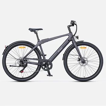 Bicicletta Elettrica ENGWE N1 Air, Motore 250W, Batteria 36V10AH, Autonomia 100KM, Freni Idraulici/a Disco, Bici Elettrica da Città