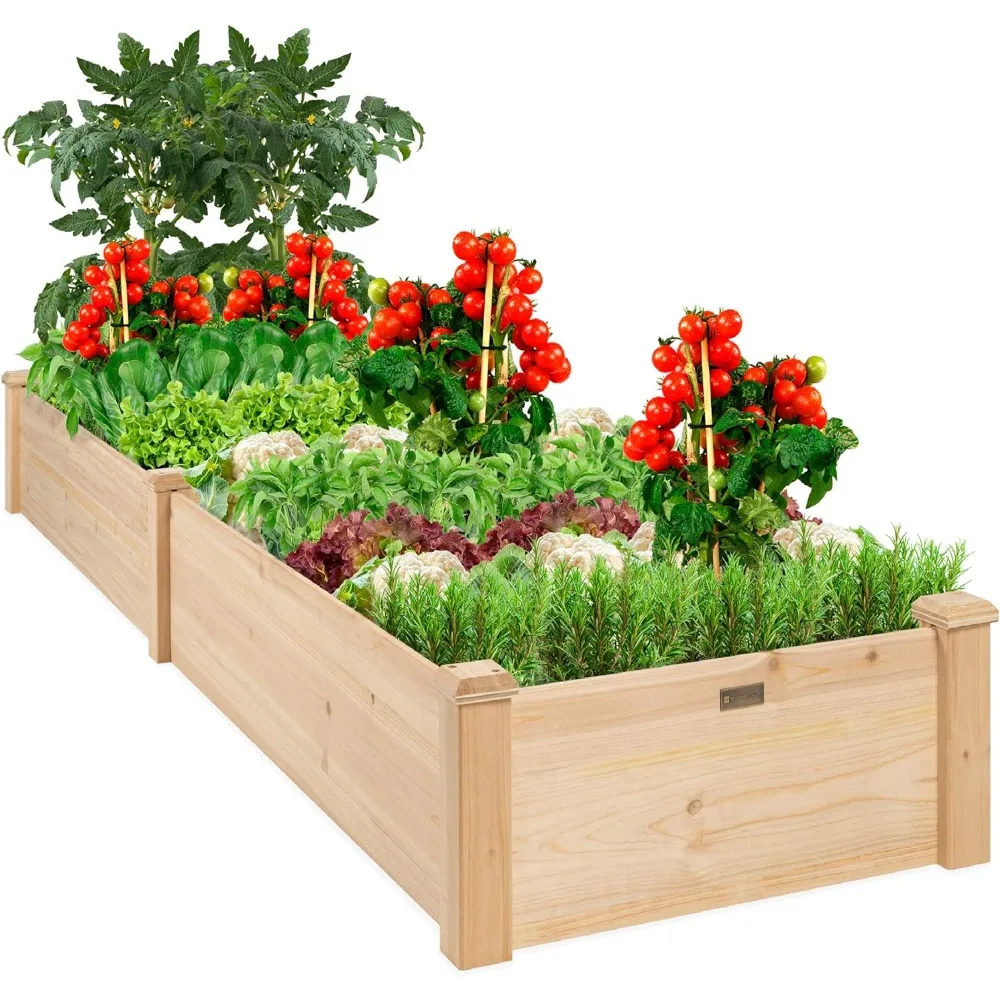 

Pots for Plants Yard Large Flowerpot Grass 8x2ft Outdoor Wooden Raised Garden Bed Planter for Vegetables Free Shipping Lawn Home