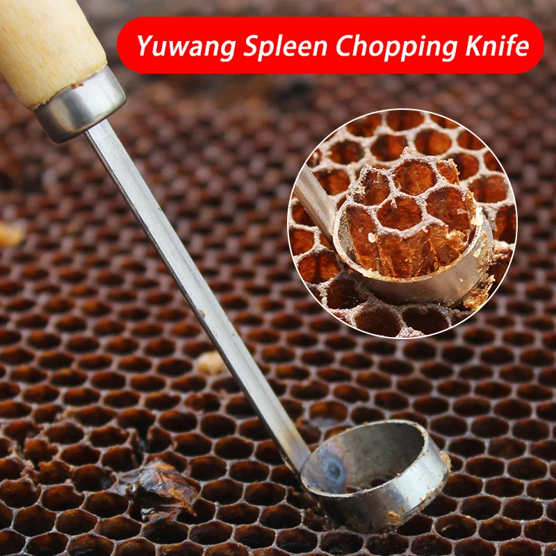 Beekeeping No-Graft Queen Rearing Kit Comb Foundation Cutter Queen Frame Cutter Extractor Cutting Tool Apiculture Equipment beekeeping tools beekeeping accessories