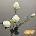 4 heads White
