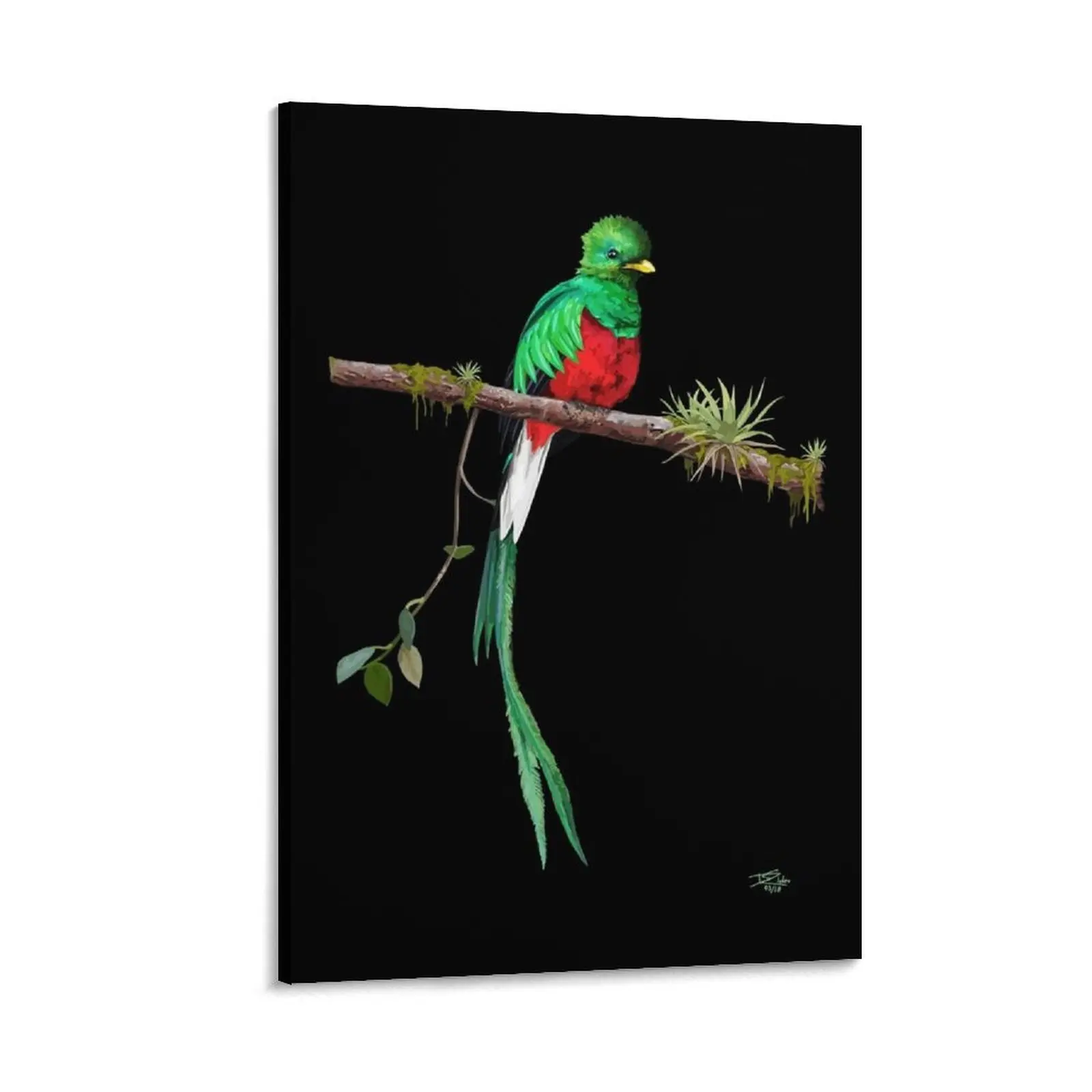 

Quetzal bird Canvas Painting posters luxury home decor