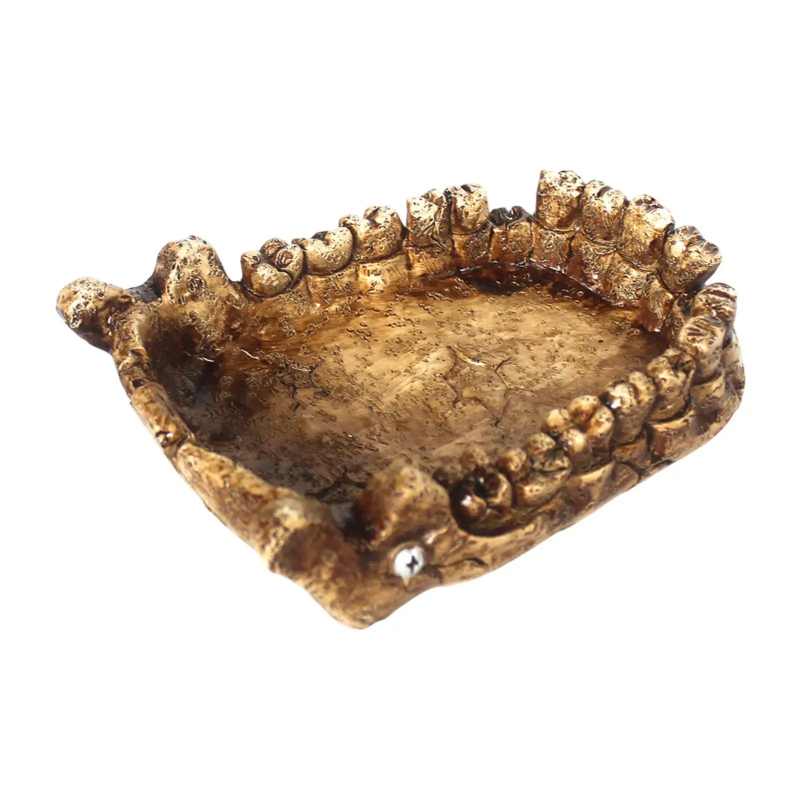 Reptile Feeding Bowl Resin Decorations Bathing Bowl Turtle Bath Terrarium Plate for Frogs Chameleon Pet Supplies Lizards Gecko