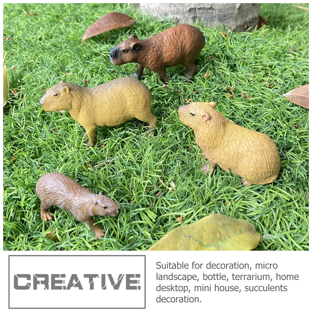 �ùķ��̼� ī�ǹٶ� ���� ��� ī�ǹٶ� ������ ���� ����, �� ��ȣ �峭�� ����, ������ �ǱԾ�, 4 ��