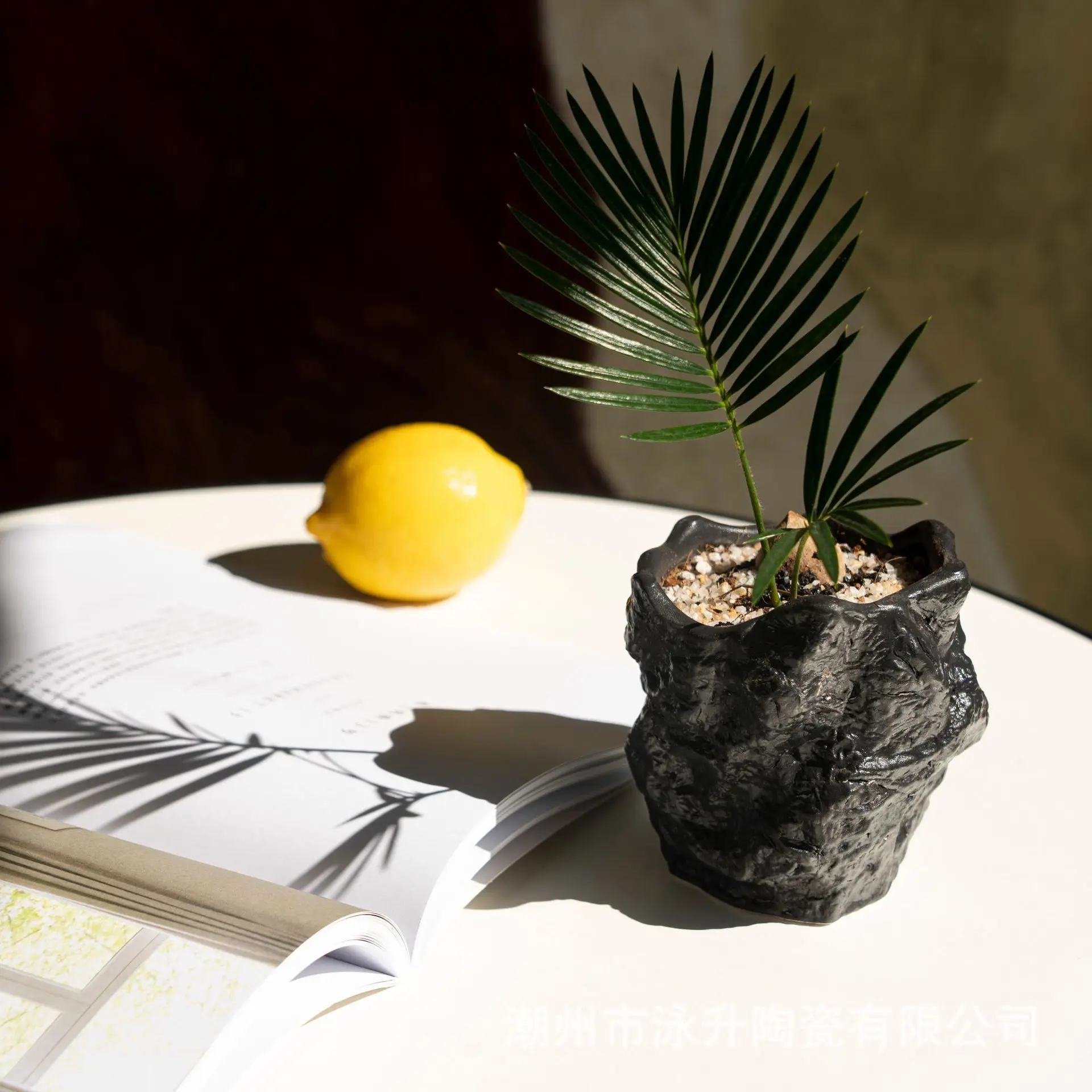 

Креативный керамический цветочный горшок особой формы для дома и учебы, украшение для рукоделия