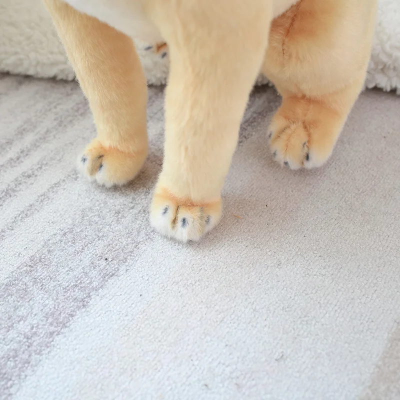 See02cdca75e54d9e945caca55b6a0dda0 - Golden Retriever Gifts