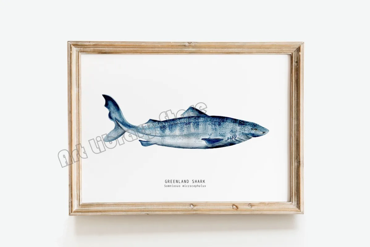 Marine Life Ocean Animals Canvas Art Poster - Whales, Sharks, and Turtles