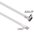 AMUP-CMST-WH