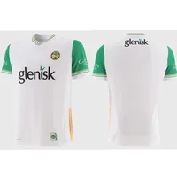2025 GAA jersey Offaly Home Alternative Goalkeeper shirt singlet Ireland gaa jerseys t-shirt vest s-3xl 1