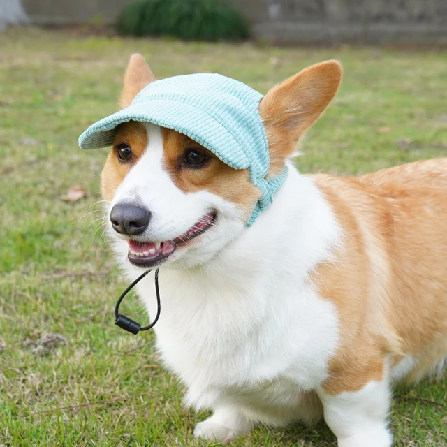 Corgi Beanie Dog Beanie Corgi Hats Dog Hat Dog Beanie 