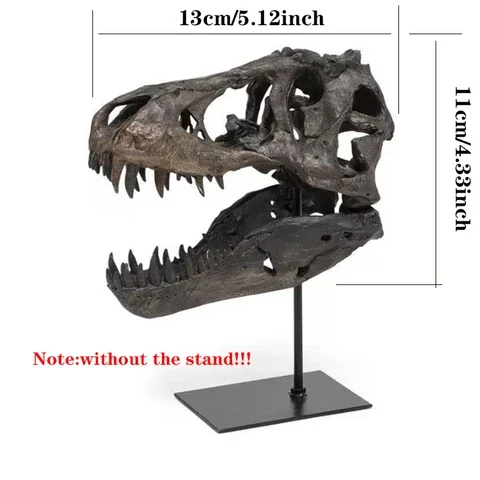 

Dinosaur Skull Replica Resin Animal Skeleton Ornament Haunted House Dinosaur Statue Home Decoration Living Room Accessories