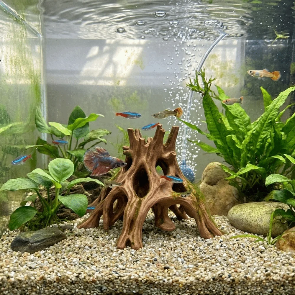 Madera Flotante