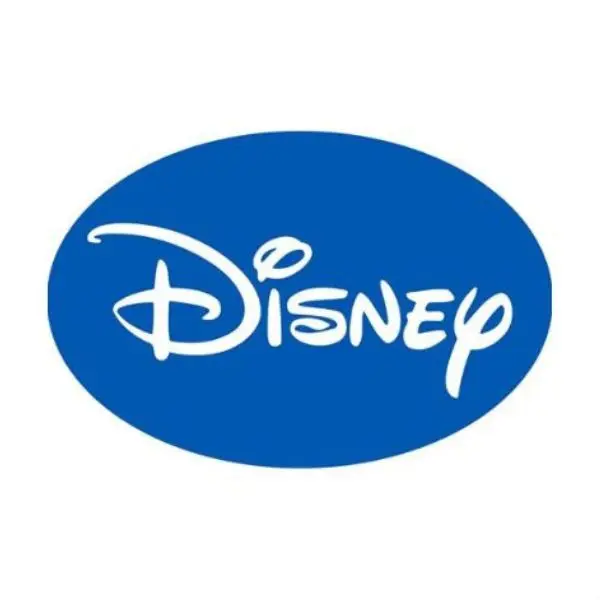 Disney Surroundings Store