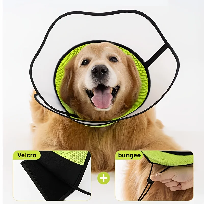 Breathable, Durable Pet Collar - Anti-Scratch & Bite Resistant